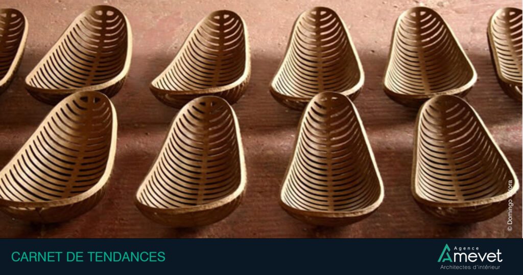 Dominigos Totora, eco-design, agence amevet